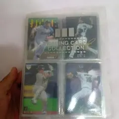 Item thumbnail for item 2f20dac9-d2ec-40b8-8f81-5899761b99e0