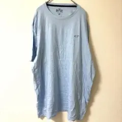 ホリスター Tシャツ 半袖 クルーネック XXL 水色 綿 古着 ビッグサイズのサムネイル