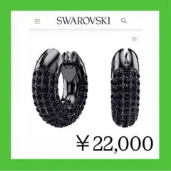899【激レア色＊完売＊入手困難】￥22,000／黒／Dexteraフープピアス