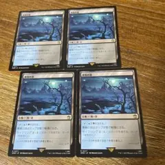 ⭐︎MTG 異臭の池　日本語4枚　ドクター・フー