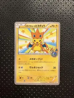 m19512374596_1.jpg?1768906865