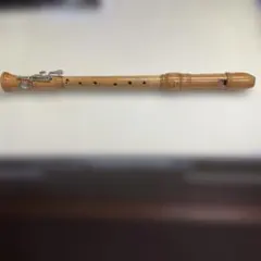 Item thumbnail for item 79541b21-69f1-4f55-b902-b85480027b95