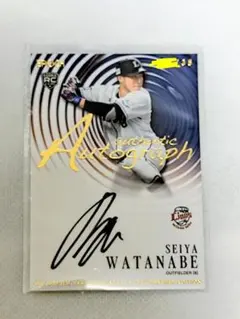 Item thumbnail for item cbfe6e48-29c9-4c1d-8260-8a87f4243279