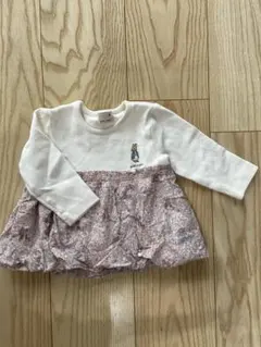 ピーターラビット