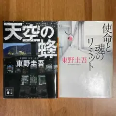 Item thumbnail for item f9a05073-8485-4c5a-a95b-c355149b63d7