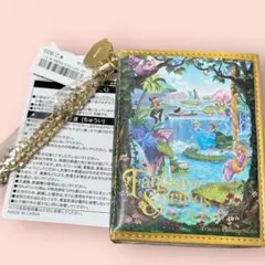 東京ディズニーシー ファンタジースプリングス パスケース