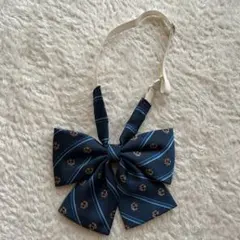 Item thumbnail for item c84a482e-b963-4b00-a503-8fc672a4a751