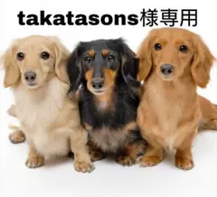takatasons様専用 ポケモンコイン 第5弾 9種 コンプ 未開封✖️2