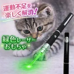 猫用 猫遊び おもちゃ グリーン レーザーポインター 緑色 新品 15cmのサムネイル