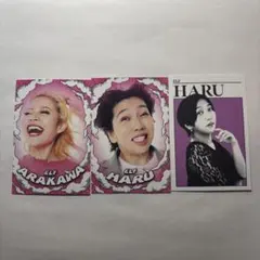 エルフ タレント・お笑い芸人