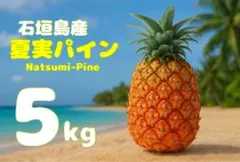 【送料込み】石垣島産夏実パイン(サイズ/個数おまかせ)5kgのサムネイル