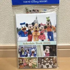 東京ディズニーリゾート ダイアリー 2026 実写 スケジュール帳 手帳