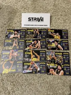 Item thumbnail for item 8208f216-24b0-4c74-8b8b-665d465e3626