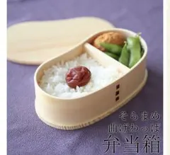 レア100個限定懸賞当選品！ジブリがいっぱい！秋田曲げわっぱお弁当箱