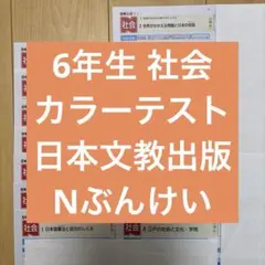 5年生 社会 カラーテスト - メルカリ