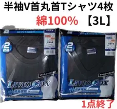 半袖Ｔシャツ 3L 4枚 メンズアンダーウェア　V首丸首半袖 綿100% 下着