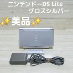 正常品☆美品☆ニンテンドーDS Lite グロスシルバー 本体 充電器