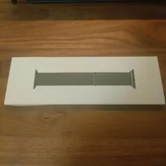 Apple Watch 40mm Lake Greem Sport Loop