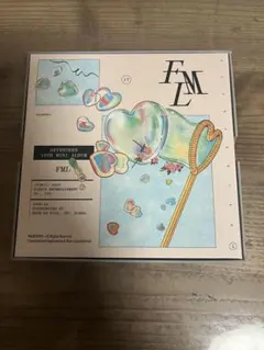 SEVENTEEN ウジ　FML carat盤