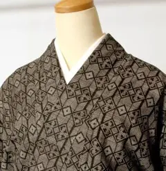 5738■　本場大島紬　泥染　一元式　幾何学文様