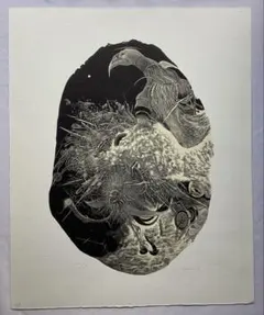 天使のたまご 想空 シルクスクリーン 版画 天野喜孝 - メルカリ