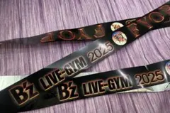 B'z LIVE-GYM 2025 銀テープ