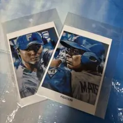 日本ハムファイターズポストカード⭐️松本剛&山崎福也２枚セット