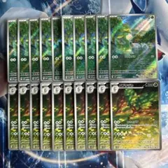シキジカ メブキジカ AR 各10枚 20枚セット 進化ライン　ブラホワ