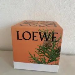 LOEWE ECLECTIC Body Lotion 100mL - メルカリ