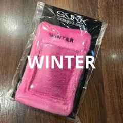 ウィンター　aespa SYNK フォトカードホルダー