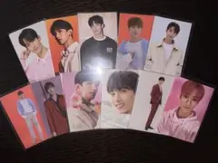 【最安値】SEVENTEEN ドギョム ツアー トレカ セルカ 11枚セット