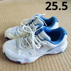 LI-NING 超軽量 2世代 バドミントンシューズ メンズ&レディー25.5