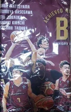 越谷アルファーズ　B1昇格グッズ　タオル