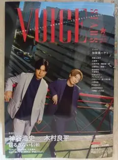 TVガイド VOICE STARS vol.35 限定表紙版