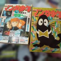 2026年最新】月刊マンガ少年 別冊の人気アイテム - メルカリ