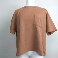 サマンサモスモス 半袖Tシャツカットソー 茶色 ワイド幅 【F】sm2 A26のサムネイル