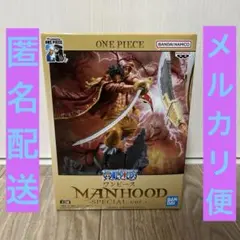 ONE PIECE MANHOOD SPECIAL ver. ロジャー