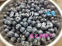 ブルーベリー　8キロ　冷凍　まとめ売り ブルーベリー 8キロ 冷凍 まとめ売り - メルカリ