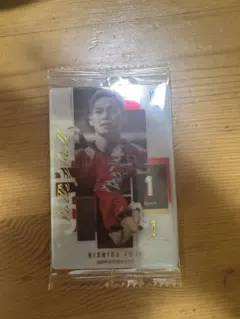 バレーボール 西田有志 レアスポーツカード