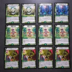 【未使用】デュエルマスターズ　旧カード　自然36枚セット