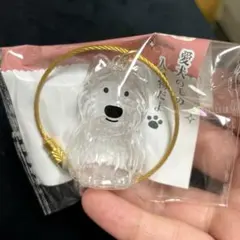 わんこのタイムカプセル　メモリアル　毛玉入れ　ガチャガチャ　モコ