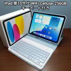 美品 iPad 第10世代 WiFi Cellular Simフリー 256GB