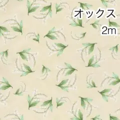 ラスト3点 2m スズラン クリーム オックス