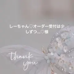 しーちゃん♡オーダー受付は少しずつ…♡様 リクエスト 5点 まとめ商品