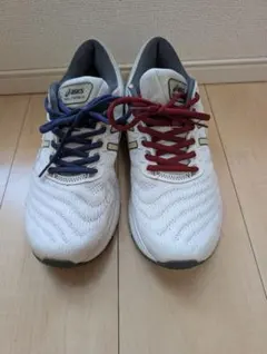 ASICS GEL-NIMBUS 1021A516