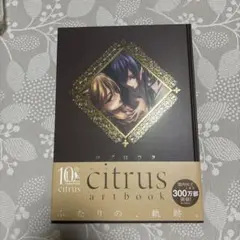 citrus シトラス　art book citrus artbook | サブロウタ |本 | 通販 | Amazon