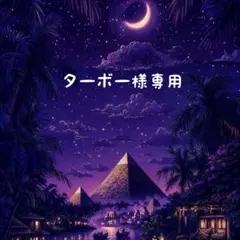 【訳あり】クロコダイル調 ウエスタンベルト ブラック Y2K ヴィンテージ