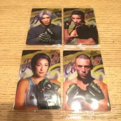 RIZINウエハースカードセット