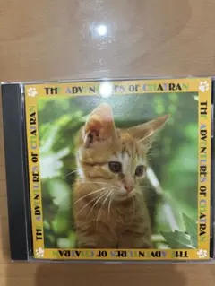 OST 子猫物語 レコード 帯付き 美品 坂本龍一 - メルカリ