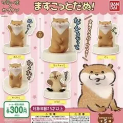 可愛い嘘のカワウソ　ますこっとだぬ! 全5種セット